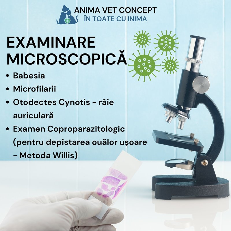 Anima Vet Concept - Clinica veterinara